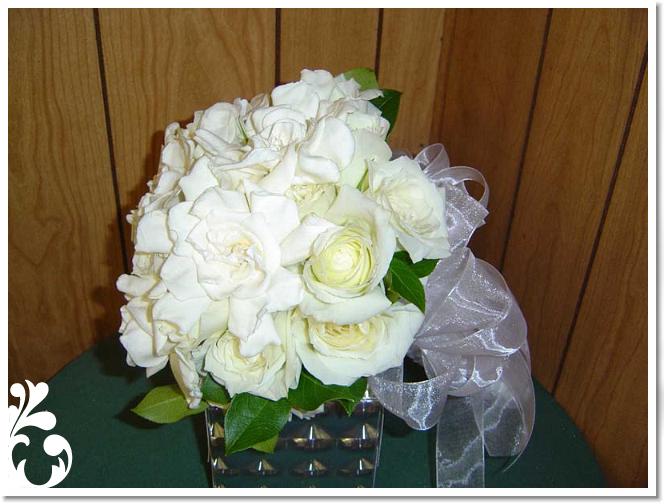 white-095